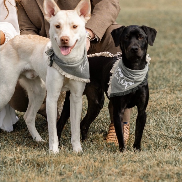 Forest Green Pup of Honor Bandanas - Picture 5 of 5